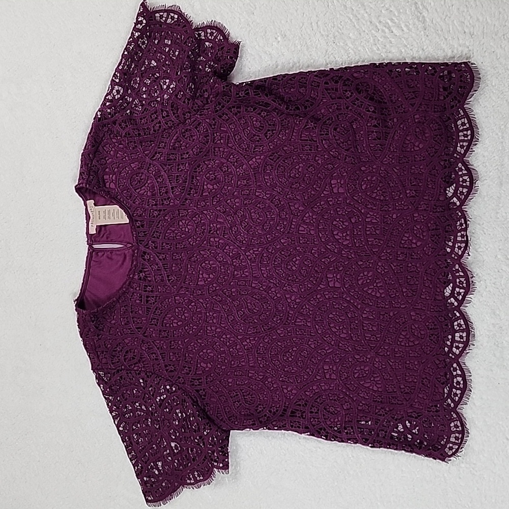 Philosophy Republic Clothing Plum Short Sleeve Lace Top